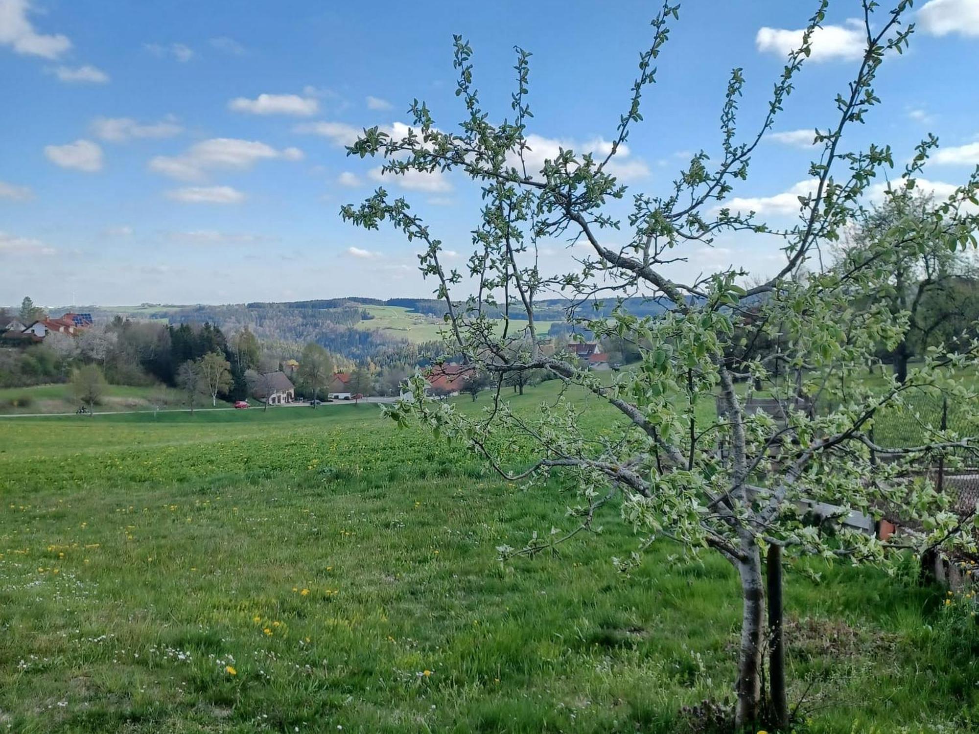 Landhaus Alpenpanorama Löffingen Exteriér fotografie